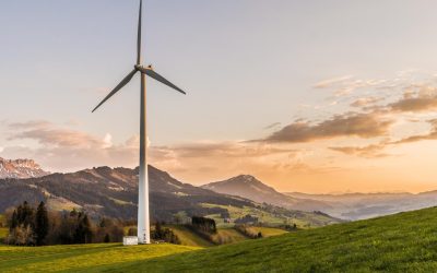 La mafia verte : quand le crime organisé investit dans l’écologie