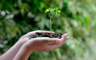 S.O.S Planète : Comment devenir un super-héros de l&rsquo;environnement en 3 étapes simples ?