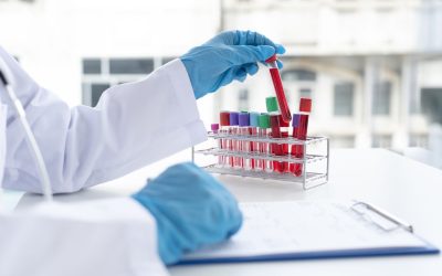Ils veulent éradiquer les moustiques : fiasco écologique ou nécessité ?