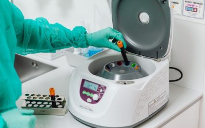 Environnement : Comment les Méduses Envahissent Nos Océans !