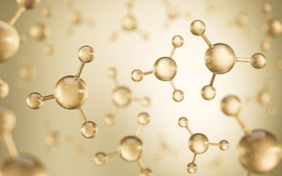 Écologie : Pourquoi vos rêves influencent la santé de la planète