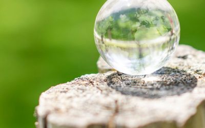 La Loi Omnibus CSRD : Un tournant décisif pour les PME face à la transparence écologique